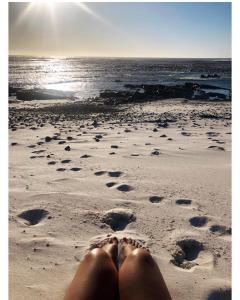 Cozy spacious loft on 4th Avenue