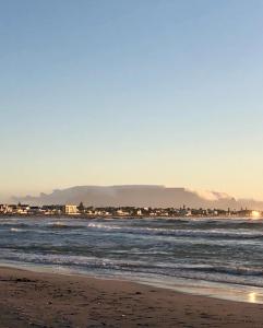 Cozy spacious loft on 4th Avenue