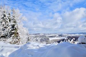 Komfortowy Dom w Chmurach