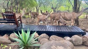 Kruger Kumba - Lahlekile Nathi