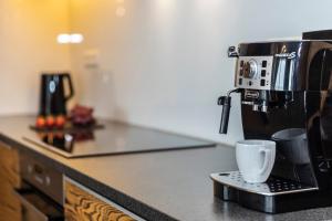 APARTAMENT No 2 MOUNTAIN VIEW Sauna Priv z ogrodem okolice Zakopane Czorsztyn Kluszkowce