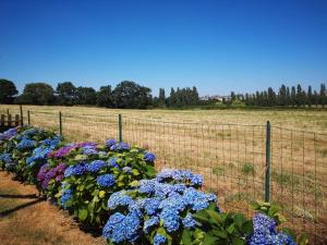 Appartements Le Cosy : photos des chambres