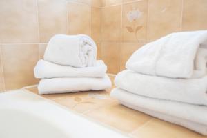 Hotels Hotel des Pyrenees : photos des chambres