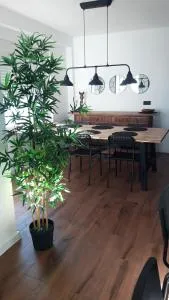 Apartamento Aguilera - Beniopa