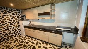 CHATA VÁCLAV ÚDOLÍČKO