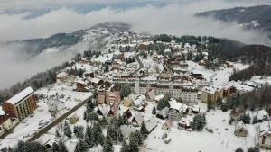 Apartmani Vidatela Kopaonik