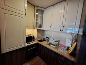 A cozy mountain flat in Zlatibor