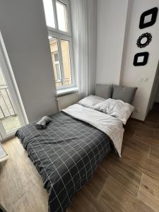 Apartament Mieszka I