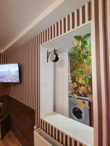 Cool studio with yard Iveria Sololaki