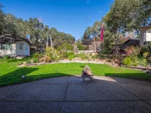 Amazing Santa Cruz Landscaped Paradise - Felton