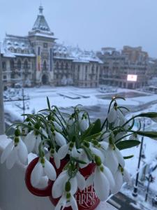 Black&White Studio Ultracentral