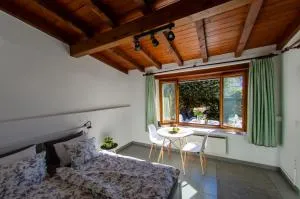 Rustico al Sole - Just renewed 1bedroom home in Ronco sopra Ascona - Ronco sopra Ascona