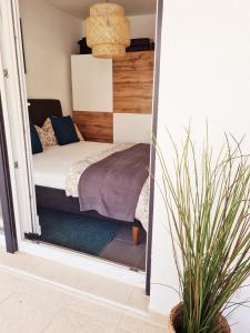 NewHome Nicole Premantura