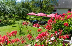 Appartements Allmaier