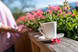 Appartements Allmaier