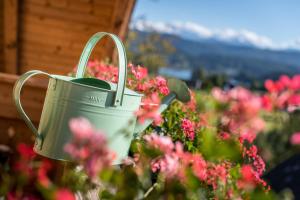 Appartements Allmaier