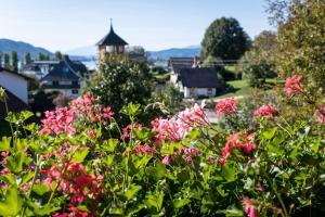 Appartements Allmaier