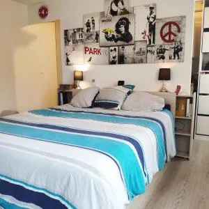 Grande chambre avec salle de bain privative - 伊芙尔莱韦克