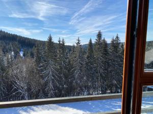 Apartmán v Srdci Hor Cihlářka