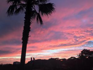 Beewool Chaewool Pension