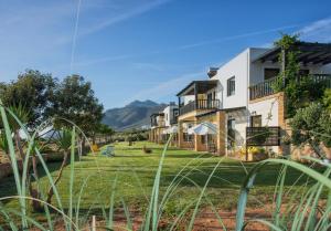 Magnolia Apartments and Studios