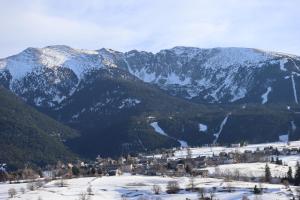 Appartements Les Myrtilles, appartement au pied des pistes : photos des chambres