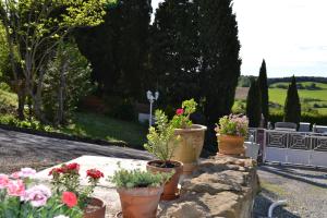 Villas Au jardin des gallinettes location villa piscine privee Carcassonne : photos des chambres