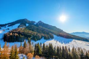 Happy Guest Apartments - Pink Mountain Presolana