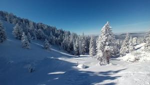 Appartements Au Chasseur : photos des chambres