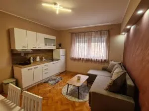 Apartman Drinić - Bošnjaci