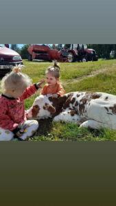 Organic Family Farm