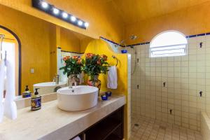 Casa Lorenzo Orange Sunsets, Lush Landscape, Intown, Privacy