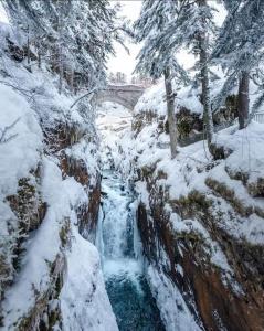 Villas Eden des Pyrenees : photos des chambres