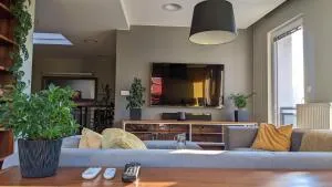 Luxurious villa-apartment with spacious terrace - 日恰尼