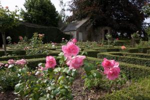 Maisons de vacances Maison de charme dans un beau jardin 