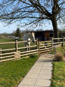 Appartements Domaine Nature Vacances : photos des chambres