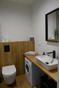 Apartament Loft
