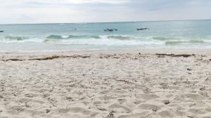 Elnas Haven Diani Palms - 5min walk to the beach, serene and culinary services