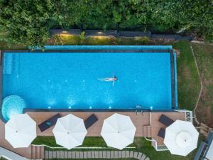 Sprise Munnar Resort and Spa