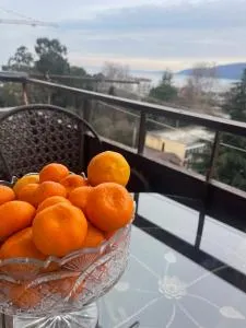 Abazga 59 - Otradnoe