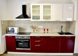 Old town apartment Popovic