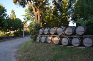 Maisons d'hotes Room in Guest room - Guest Room in the heart of the vineyard : photos des chambres