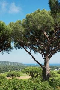 1100 Chemin de Val de Rian, 83350 Ramatuelle-Saint Tropez, France.