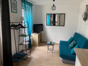 Maisons de vacances Studio coccoon proche beauval : photos des chambres
