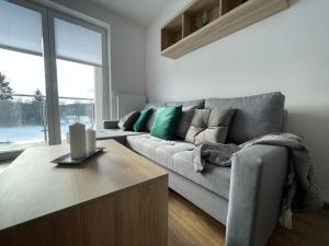 Vip Apartament LAUROWA