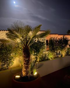 Casa BLANKA Bahia Playa Anlage Costa Calma