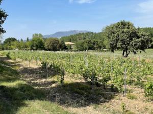 Maisons d'hotes Chateau Talaud : photos des chambres