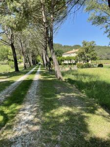 Maisons d'hotes Chateau Talaud : photos des chambres