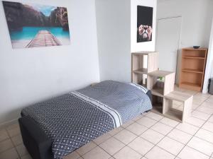 Appartements Studio Lumineux Saint-Etienne Bellevue : photos des chambres