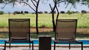 Lindi Lodge, Mjejane Game Reserve